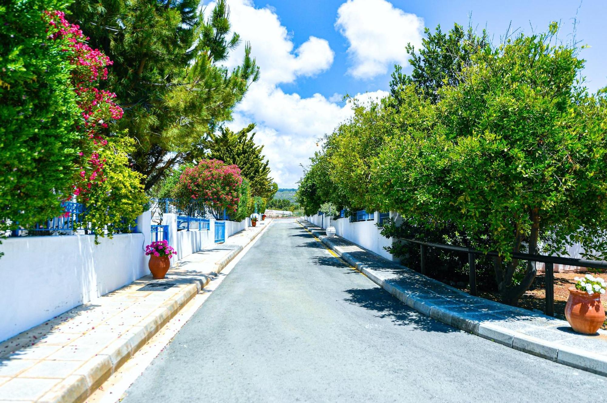 Azzurro Holiday Villas Pégeia Exteriör bild
